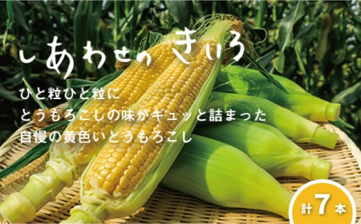 【先行予約】大地の恵み「とうもろこし（イエロー）」7本　北海道 栗山町 産地直送　YB032 361607 - 北海道栗山町