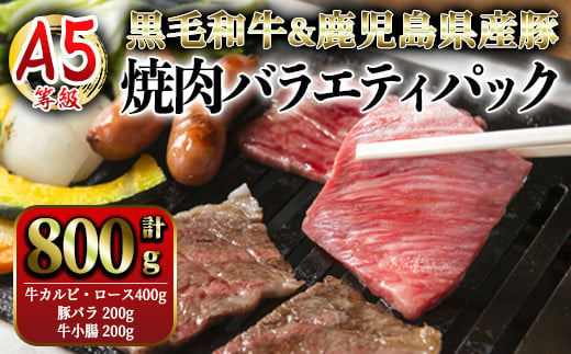 2633 A5等級黒毛和牛＆鹿児島県産豚焼肉バラエティパック　800g【国産 鹿児島県産 牛 牛肉 黒毛和牛 豚 豚肉 カルビ ロース 豚バラ ホルモン 冷凍】 1490008 - 鹿児島県鹿屋市