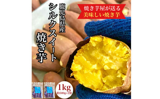 2673 鹿児島県産 さつまいも シルクスイート 焼き芋 1kg(500g×2袋)  蜜芋 さつまいも 【クール便配送】【いも 芋 さつま芋 蜜芋 シルクスイート 焼き芋 スイーツ】 1511022 - 鹿児島県鹿屋市