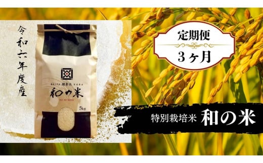 【3ヵ月定期便】＼令和6年産／和の米「酵素米」　玄米5kg×3回 277664 - 茨城県利根町