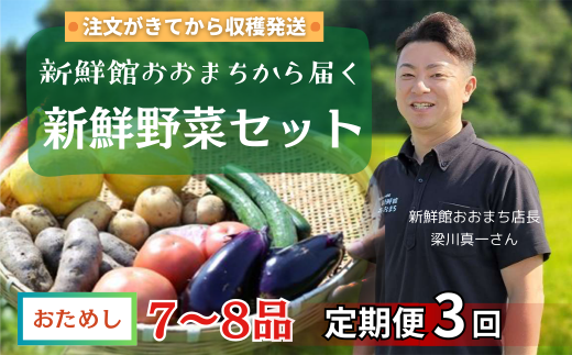 [定期便/3か月]注文が来てから収穫発送!収穫したばかりの新鮮野菜セットお試しコース [7〜8品] 季節のお野菜 おまかせ お楽しみ 獲れたて産地直送 旬 鍋 冬野菜 ベジタブル ヘルシー 健康 詰め合わせ 一関市