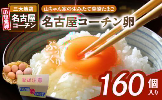 【山ちゃん家の生みたて葉酸たまご】名古屋コーチン卵（160個入り）　［ 新鮮 産地直送 大容量 高級 地鶏 たまご 卵 玉子 タマゴ 葉酸卵 妊娠中 高齢者 朝食 卵料理 卵かけご飯 卵焼き 目玉焼き 山田養鶏 お取り寄せグルメ ］