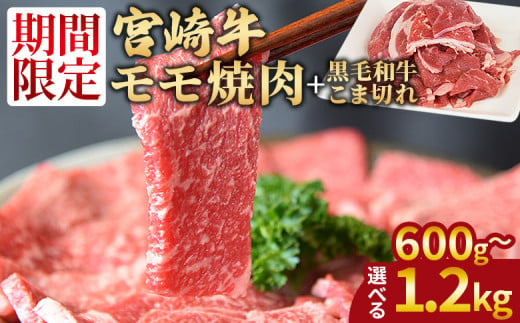 宮崎牛モモ焼肉 + 宮崎県産黒毛和牛こま切れ 入金確認後、2025年2月に発送[ 国産牛 肉 牛肉 精肉 モモ もも 焼肉 焼き肉 ヤキニク 牛こま こま BBQ パーティー お取り寄せグルメ セット ]