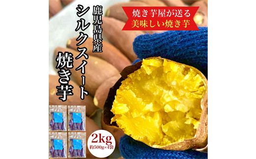 2675 鹿児島県産 さつまいも シルクスイート 焼き芋 2kg(500g×4袋) 蜜芋 さつまいも 【クール便配送】【いも 芋 さつま芋 蜜芋 シルクスイート 焼き芋 スイーツ】 1511024 - 鹿児島県鹿屋市