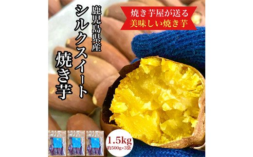 2674 鹿児島県産 さつまいも シルクスイート 焼き芋 1.5kg(500g×3袋) 蜜芋 さつまいも 【クール便配送】【いも 芋 さつま芋 蜜芋 シルクスイート 焼き芋 スイーツ】 1511023 - 鹿児島県鹿屋市