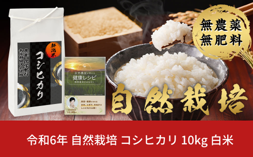 自然栽培 従来コシヒカリ 15kg 無農薬 無肥料 新潟産 コシヒカリ 出荷当日に精米でおいしさ抜群 【046S010】 -  新潟県三条市｜ふるさとチョイス - ふるさと納税サイト