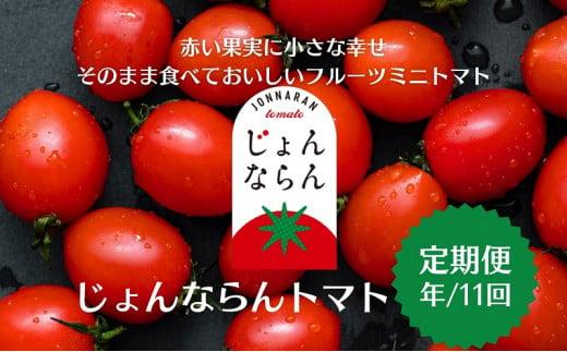 モリヒロ園芸が育てたじょんならんトマトの定期便（年間11回） 613070 - 香川県観音寺市