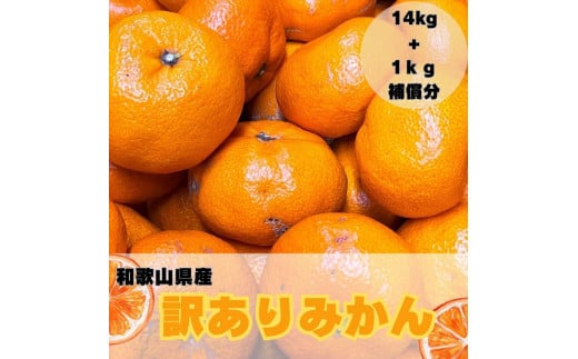 【訳あり】和歌山みかん約14kg+補償分約1kg サイズ混合 11月より順次発送 訳ありみかん 【red3】