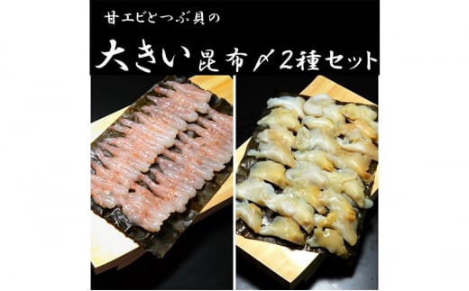 甘エビとつぶ貝の大きい昆布〆 高岡市 魚介[№5616-1598] 1502696 - 富山県高岡市