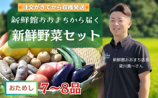 [注文が来てから収穫発送!]収穫したばかりの新鮮野菜セットお試しコース [7〜8品] 季節のお野菜 おまかせ お楽しみ 獲れたて産地直送 旬 夏野菜 ベジタブル ヘルシー 健康 詰め合わせ 岩手県 一関市産