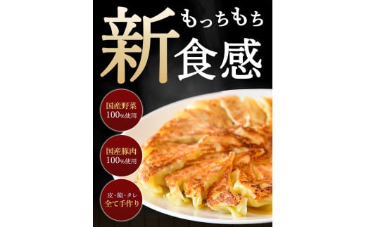 M86-0002_生パスタ生地で包んだ正統派の餃子「ラビオリ餃子」15個入り×2ケース【冷凍】 1502232 - 香川県三豊市