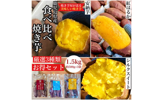 2681 鹿児島県産 さつまいも 【3種食べ比べ】 焼き芋 1.5kg(500g×3袋)  蜜芋 さつまいも 【クール便配送】【いも 芋 さつま芋 蜜芋 紅はるか 安納芋 シルクスイート 焼き芋 スイーツ 食べ比べ 詰め合わせ】 1511030 - 鹿児島県鹿屋市