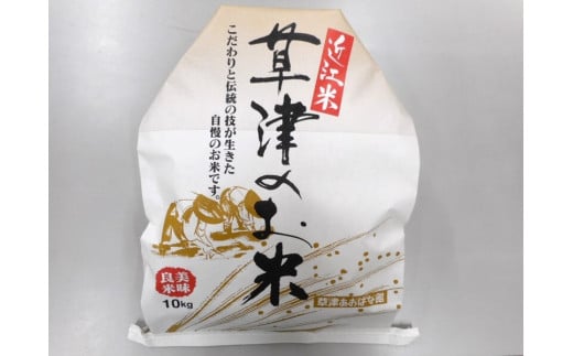 近江米みずかがみ10kg（白米）