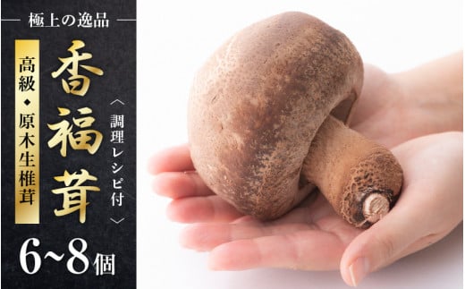 【先行予約】 原木生椎茸「香福茸」6～8個 高級 極上の逸品！調理レシピ有 【2025年1月上旬～2月下旬の間で順次発送予定】 [e06-b002] 538085 - 福井県越前町