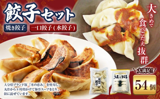 051-1169 焼き餃子と一口餃子（水餃子）「Aセット」合計54個 タレ付き 焼き餃子 一口餃子 水餃子 餃子 ぎょうざ ギョウザ  冷凍 おかず おつまみ 中華 1502322 - 大分県豊後大野市