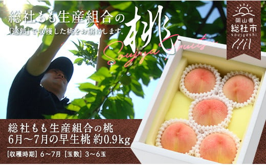 「6月〜7月の早生(わせ)桃」約0.9kg 岡山県総社もも生産組合[2025年産先行予約]25-013-001