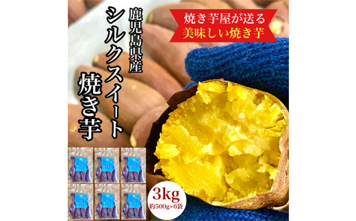 2676 鹿児島県産 さつまいも シルクスイート 焼き芋 3kg(500g×6袋) 蜜芋 さつまいも 【クール便配送】【いも 芋 さつま芋 蜜芋 シルクスイート 焼き芋 スイーツ】 1511025 - 鹿児島県鹿屋市