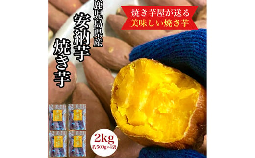 2679 鹿児島県産 さつまいも 安納芋 焼き芋 2kg(500g×4袋) 蜜芋 さつまいも 【クール便配送】【いも 芋 さつま芋 蜜芋 安納芋 焼き芋 スイーツ】 1511028 - 鹿児島県鹿屋市