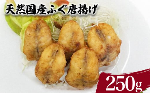 天然 国産 ふぐ から揚げ 250g ( 鮮魚 魚介 海鮮 フグ 河豚 海の幸 加工品 惣菜 唐揚げ お手軽 便利  簡単調理 揚げるだけ おかず ごはんのお供 ご飯 お米 夕食 おやつ おつまみ 酒 ビール ) 下関 山口 1509058 - 山口県下関市