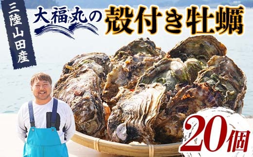 大福丸の殻付き牡蠣 20個 【三陸山田産】【沖縄・離島配送不可】三陸山田 山田町 山田湾 海産品 かき YD-721