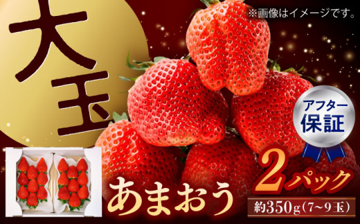 [先行予約][アフター保証]福岡県産 あまおう 約350g×2パック[1月上旬より順次配送] ▼ ご褒美 大玉あまおう 厳選 イチゴ 苺 甘い あまい ギフト 果物 桂川町/高嶋園芸[ADAT002]