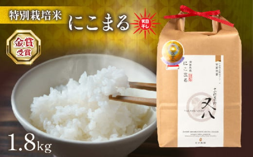 令和6年産 新米 にこまる 1.8kg 天日干し 箱入り ( 2024年産 ブランド 米 rice 精米 白米 ご飯 内祝い もちもち 国産 送料無料 化粧箱入り 滋賀県 竜王 ふるさと納税 ) 1511461 - 滋賀県竜王町