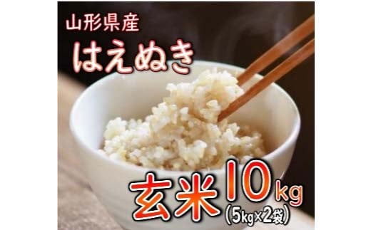 はえぬき 玄米 10kg（5kg×2袋） 【令和6年産】 2024年12月発送 山形県産 米 コメ こめ F3S-2254 1514091 - 山形県新庄市