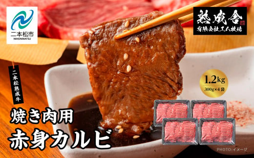 二本松熟成牛100％ 焼き肉用 赤身カルビ 1.2kg（300g×4袋） 赤身 牛肉 肉 ステーキ バーベキュー カルビ 焼肉 お取り寄せ グルメ プレゼント お祝い 国産 ギフト 冷凍 ご褒美 おすすめ お中元 お歳暮 ギフト 二本松市 ふくしま 福島県 送料無料【エム牧場】 1500837 - 福島県二本松市