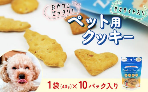 ビスケット 40g×10p 国産 ペットフード おやつ 小分け ペット 犬 いぬ イヌ ドッグ 間食 無添加 小麦 はちみつ ハチミツ 蜂蜜 プロポリス ご褒美 動物 オヤツ 犬用 静岡県 沼津市