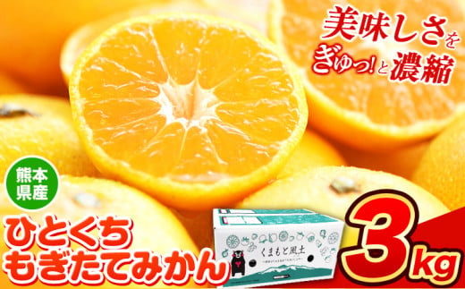 訳あり みかん ひとくちもぎたてみかん 約 3kg (3kg×1箱) S-3Sサイズ 訳あり ご家庭用 熊本県産 （荒尾市産含む） 期間限定 フルーツ 果物 旬 冬 柑橘 小玉 みかん《10月下旬-11月中旬頃出荷》 1502445 - 熊本県荒尾市