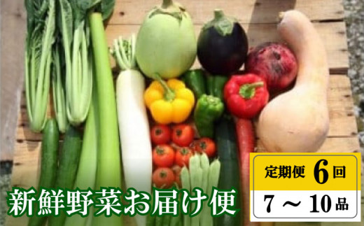 定期便 全 6回 6ヶ月 年末限定 半年 定期便 季節 旬の 野菜 7 ～ 10 品 詰め合わせ セット 小松菜 大根 だいこん トマト パプリカ ピーマン にんじん 人参 かぼちゃ きゅうり ししとう なす みょうが 頒布会 高知県 須崎市 498668 - 高知県須崎市