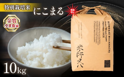 令和6年産 新米 にこまる 10kg 天日干し ( 2024年産 ブランド 米 rice 精米 白米 ご飯 内祝い もちもち 国産 送料無料 滋賀県 竜王 ふるさと納税 ) 1511464 - 滋賀県竜王町