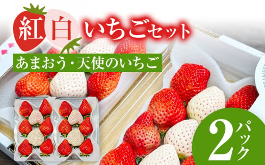 紅白いちごセット（あまおうと天使のいちご）いちご フルーツ 果物 あまおう 天使のいちご 白いちご 2パック 1パック約250g～270g 食べ比べ 福岡 苺 イチゴ 紅白【2025年2月～2025年4月中旬頃発送予定】 1501785 - 福岡県古賀市