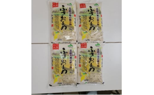 令和6年産 新米 ふさおとめ精米5kg×4入【千葉県神崎町産】[001-a007] 1504080 - 千葉県神崎町