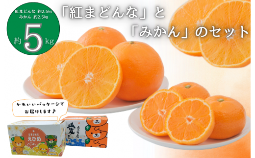 「紅まどんな」と「みかん」のセット　 [KB02550] 556603 - 愛媛県今治市