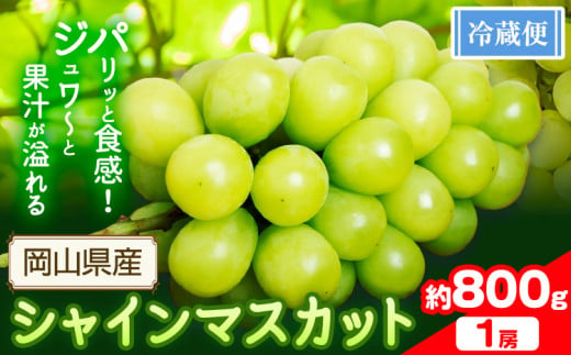 シャインマスカット 800g以上(1房)【配送不可地域あり】 花田青果株式会社《2025年9月上旬-10月末頃出荷》マスカット 送料無料 岡山県 浅口市 シャインマスカット ぶどう フルーツ 果物 贈り物 ギフト