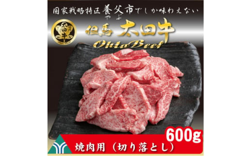 訳あり 但馬 太田牛 焼肉用(切り落とし) 600g OY1【1551652】 1502582 - 兵庫県養父市