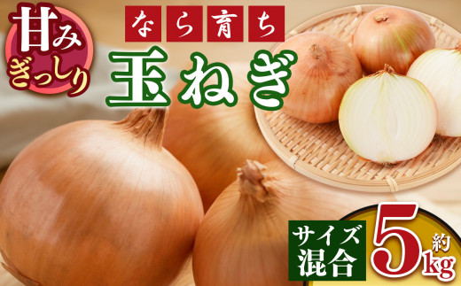 【令和7年分 先行予約】【なら育ち】玉ねぎ約 5kg サイズ混合｜ヤサイ 野菜 やさい 玉葱 玉ねぎ たまねぎ 奈良県 五條市 5キロ 1552031 - 奈良県五條市