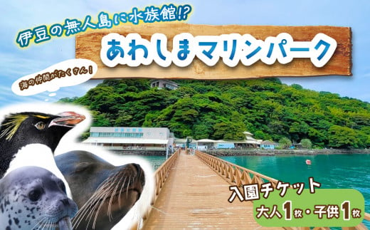 【大人1名・子供1名】 あわしまマリンパーク 入園チケット 家族チケット 水族館 イルカ アシカ ペンギン カエル館 沼津 西浦 1552539 - 静岡県沼津市