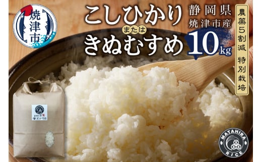 a28-013 農薬5割減 特別栽培 コシヒカリ または きぬむすめ 白米10kg（5kg×2袋） - 静岡県焼津市｜ふるさとチョイス -  ふるさと納税サイト