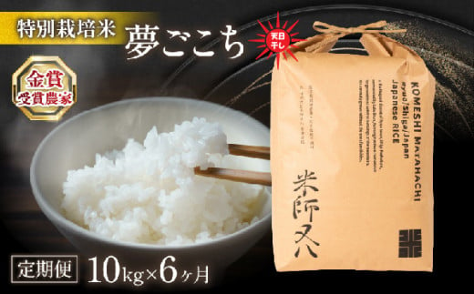 令和6年産 新米 夢ごこち 10kg × 6ヶ月 天日干し 6回 定期便 計 60kg ( 2024年産 ブランド 米 rice 精米 白米 ご飯 内祝い もちもち 国産 送料無料 滋賀県 竜王 ふるさと納税 )