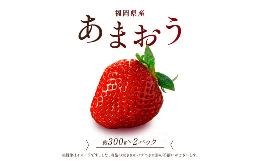 福岡県赤村のふるさと納税 【赤村限定】 福岡県ブランドいちご“あまおう” 農家直送【300g×2パック】 ふるさと納税 あまおう ブランドいちご フルーツ 果物 旬 イチゴ 苺 福岡県産 送料無料 ふるさと ランキング 人気 おすすめ 2Z6