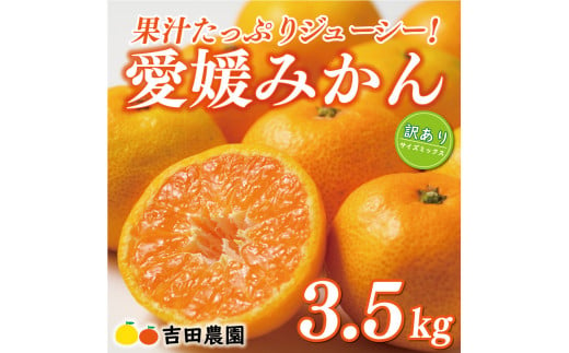 先行予約 訳あり 愛媛みかん 3.5kg 7000円 愛媛 みかん 温州みかん こたつ みかん mikan 蜜柑 ミカン 家庭用 産地直送 国産 農家直送 糖度 期間限定 数量限定 特産品 ゼリー ジュース アイス 人気 限定 甘い フルーツ 果物 柑橘 先行 事前 予約 受付 ビタミン 美味しい おいしい サイズ ミックス 愛南町 愛媛県 吉田農園