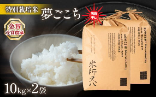 令和6年産 新米 夢ごこち 20kg ( 10kg × 2袋 ) 天日干し ( 2024年産 ブランド 米 rice 精米 白米 ご飯 内祝い もちもち 国産 送料無料 滋賀県 竜王 ふるさと納税 )