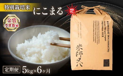 [定期便] 令和6年産 新米 にこまる 5kg × 6ヶ月 天日干し 6回 定期便 計 30kg ( 2024年産 ブランド 米 rice 精米 白米 ご飯 内祝い もちもち 国産 送料無料 滋賀県 竜王 ふるさと納税 )