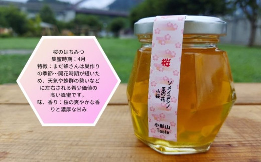 日本みつばちの蜂蜜＋西洋みつばちの蜂蜜おまかせ4種セット 100ｇ×４｜日本みつばち はちみつ ハチミツ 和蜂|小形山はちみつ