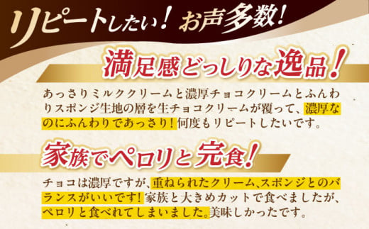 ＜ニッポン全国おやつランキンググランプリ受賞＞長崎石畳ショコラ ハーフサイズ 1個