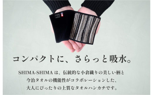 愛媛県今治市のふるさと納税 （今治タオルブランド認定）縞縞SHIMA-SHIMAハーフタオルハンカチ　３枚セット 今治タオル ハーフタオルハンカチ [IB05370]