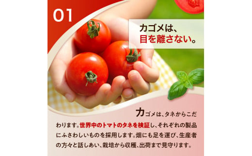 栃木県那須塩原市のふるさと納税 カゴメ　トマトジュース食塩無添加　720ml PET×15本【 飲料 野菜ジュース 栃木県 那須塩原市 】 ns001-029