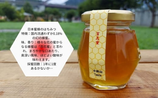 日本みつばちの蜂蜜＋西洋みつばちの蜂蜜おまかせ4種セット 100ｇ×４｜日本みつばち はちみつ ハチミツ 和蜂|小形山はちみつ